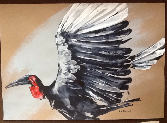 Ground Hornbill flying..... acrylic on craft paper 46 x 64 cm