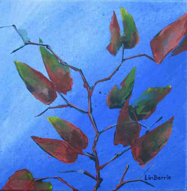 Mopani Sky, acrylic on stretched canvas, 31 x 31 cm