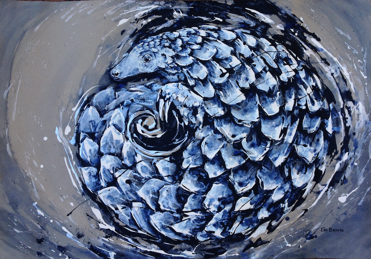 Pangolin Curl, acrylic on craft paper, 65 x 91 cm lo res.jpg