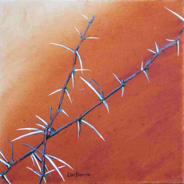 Thorny sunset, acrylic on stretched canvas, 31 x 31 cm