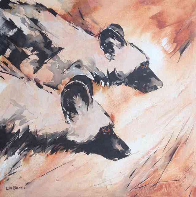 Wild dogs hunting, acrylic on stretched canvas, 60 x 60 cm