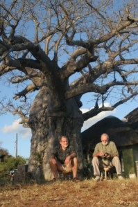 Clive and Dad share a baobab