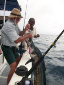 Dad catches a sailfish-first time!