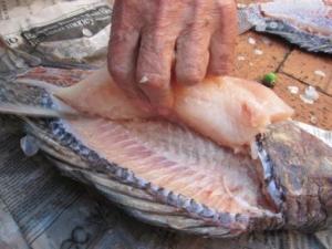 dad demonstrates the correct way to fillet a fish, taught by Mum!