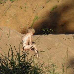 Rayne in the wild......