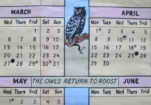 owl calendar