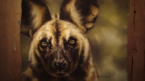 Hidden... and watching