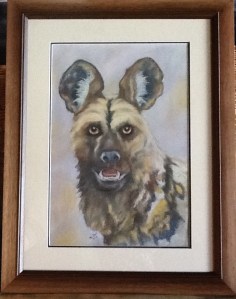 The Eyes - Windows to the Soul