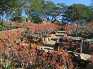 The Aldo Leopold Bench