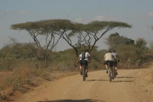 flat top acacias in the Save Valley Conservancy