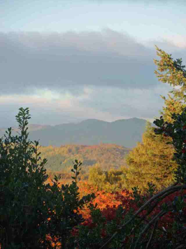 the view from Paddy's house lo res.JPG