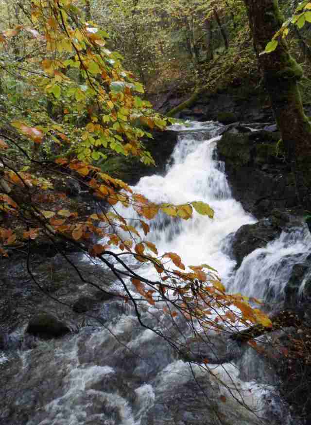 waterfall for a christening lo res.JPG