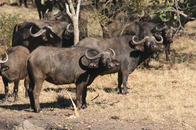 pleasant minutes pass...