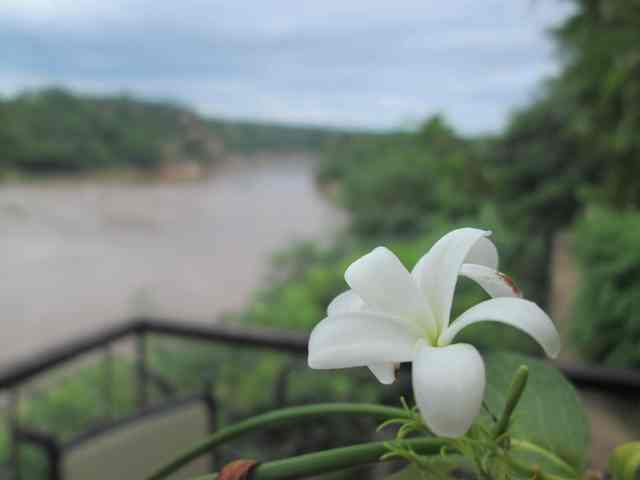 Holharina and Save River