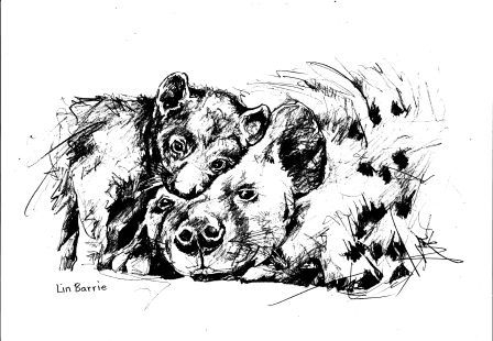 hyena and cub