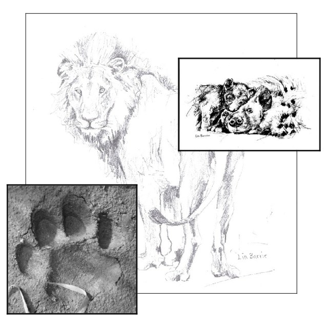 lions and hyenas at Chilo Gorge