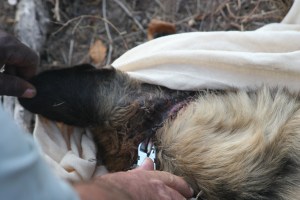 removing the terrible wire