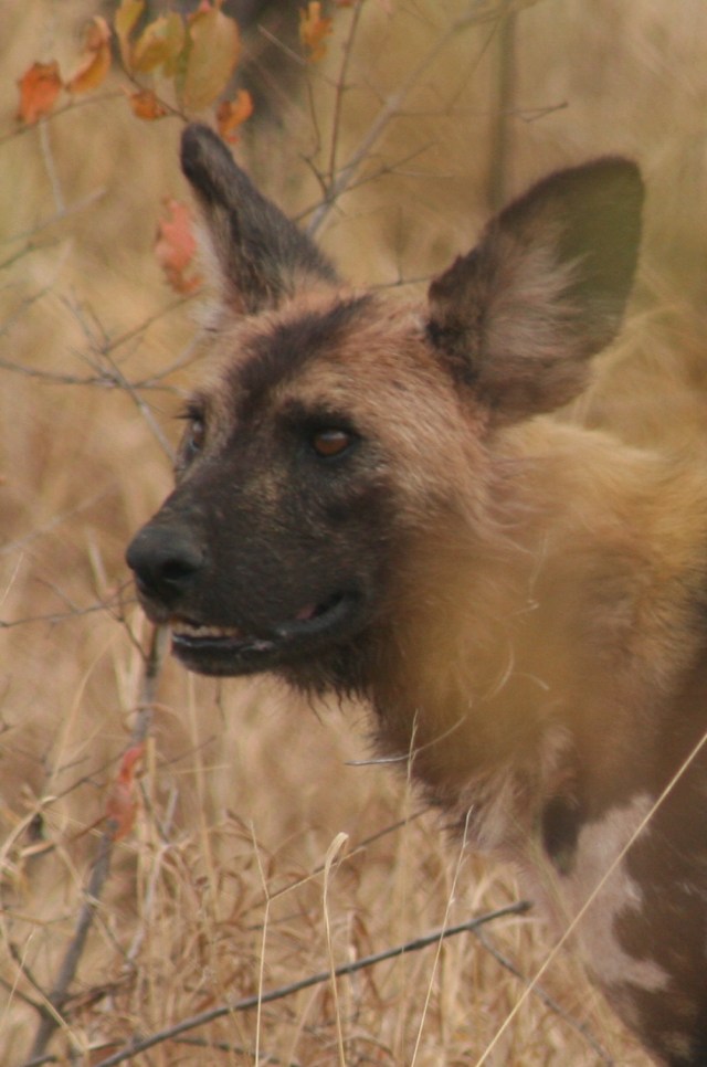 her pain filled eyes said it all....