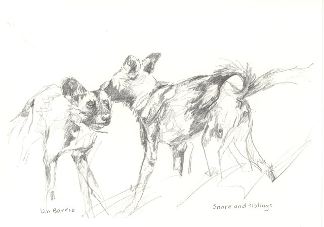 Snare"s brother tries to remove the wire snare from her neck...