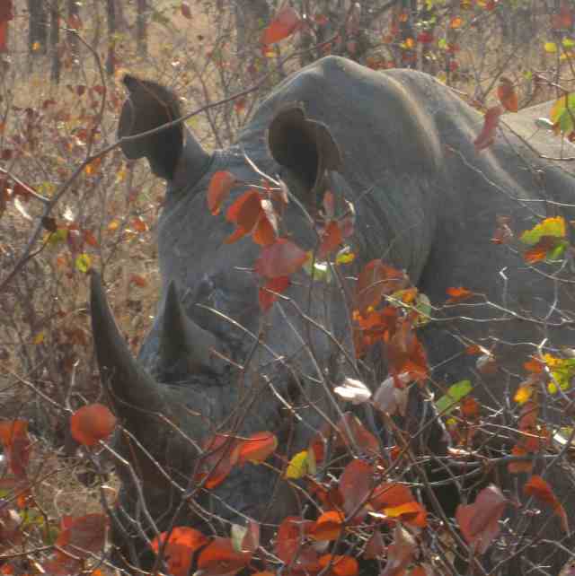 bull and Mopani leaves 