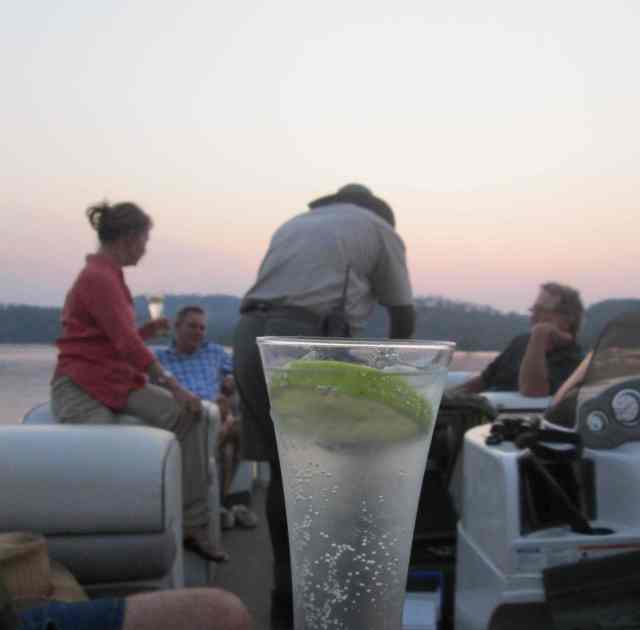Gin and tonic preparation