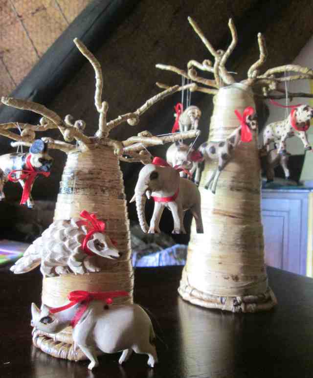 baoabab tree of life