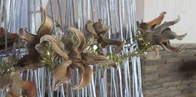 Baobab Pods decoration