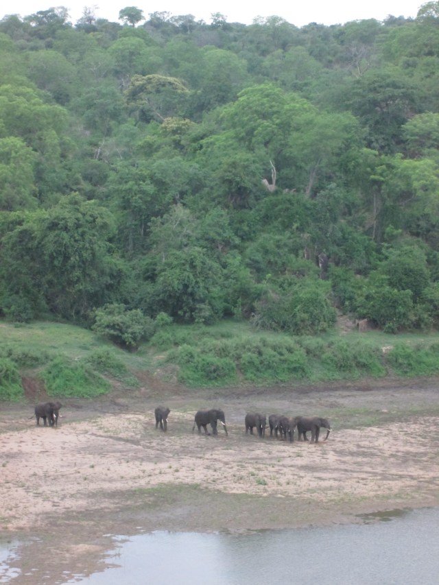 Chilo Gorge view from the deck with late afternoon tea