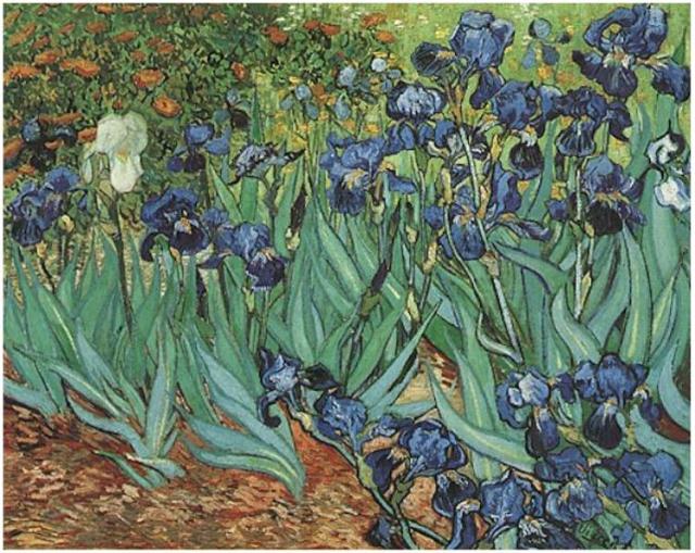 "Irises" by Vincent  Van Gogh