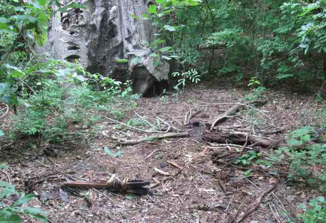 honey collecting tools