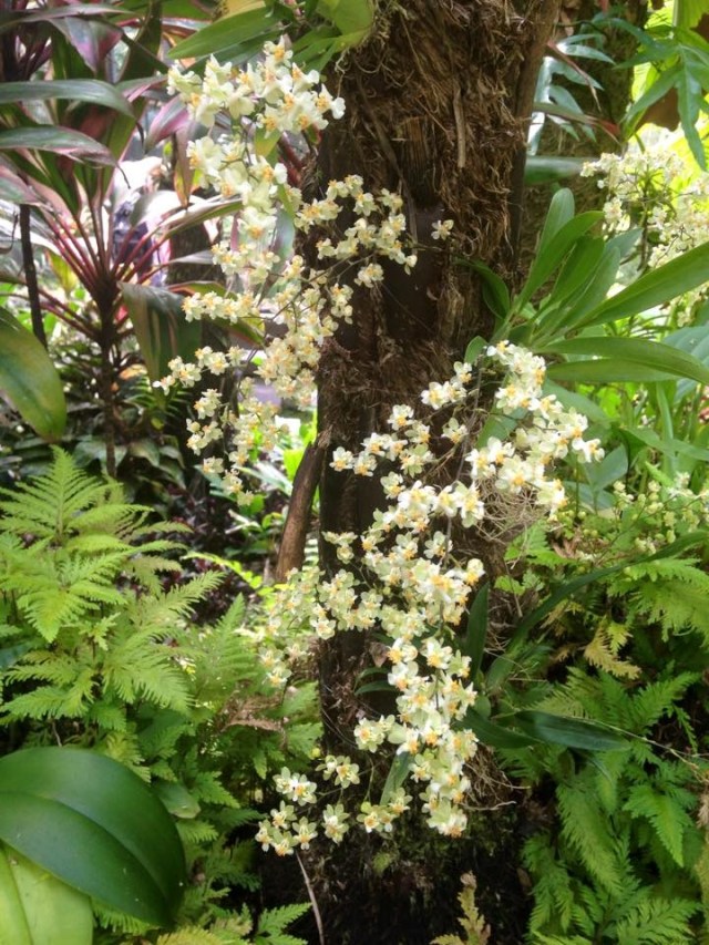 Fit for a wedding....