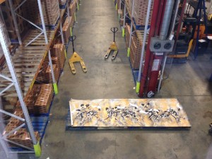 Golden Dogs Days on display in the huge wine society warehouse...