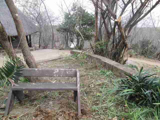 Elephants prune the bird garden....