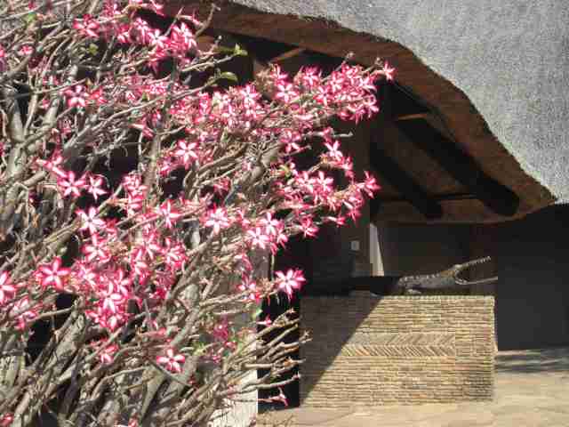 Chilo Gorge Safari Lodge Entrance