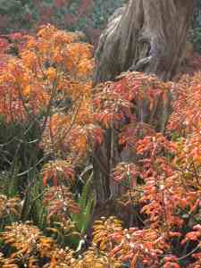 colour, colour galore