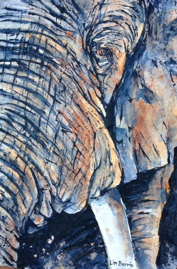 Elephant in the moonlight....