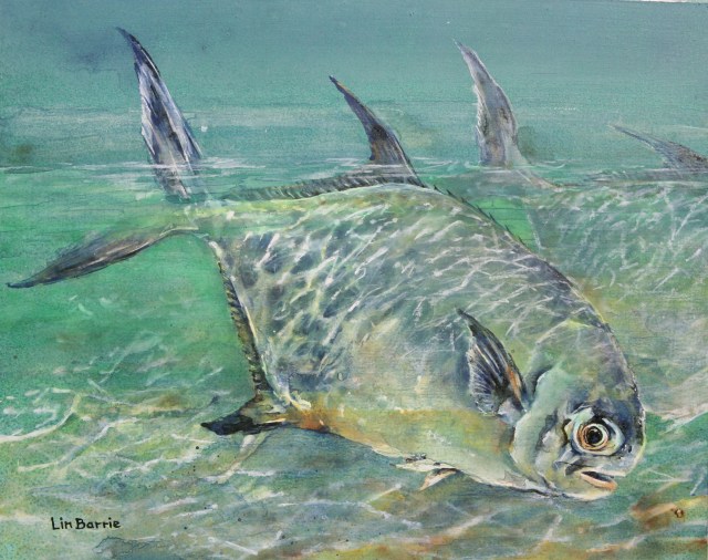 permit fish-15 x17 inches, acrylic by Lin Barrie