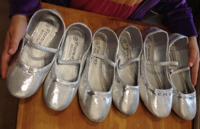 silver slippers