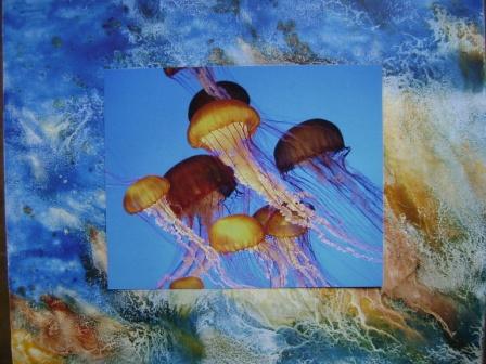 zimkey Jelly Fish Blue 2
