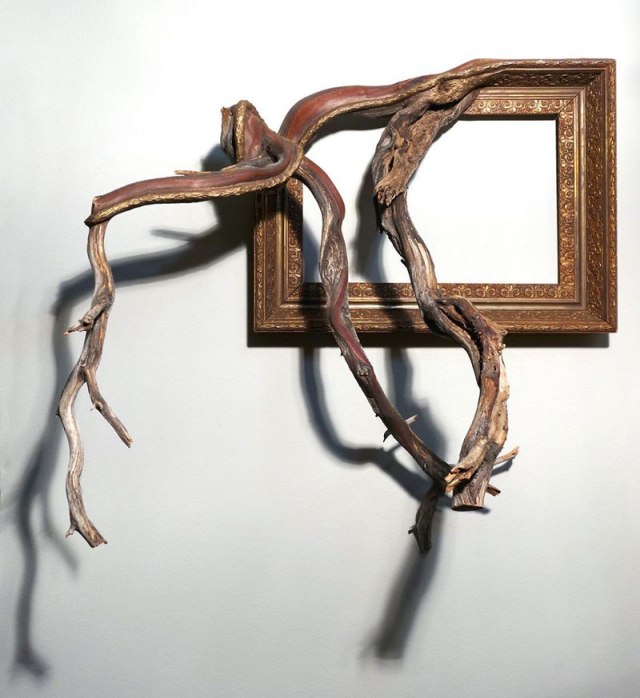 darryl-cox-fusion-frames-nw-fallen-branches-melded-with-old-frames-5