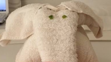 The elephant towel