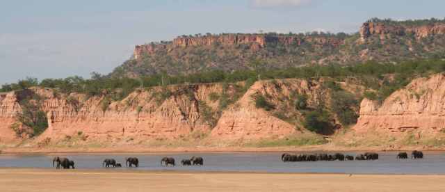 elephants crossing the Runde river -lo res