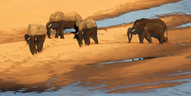 Kelli and Anton banner .JPG