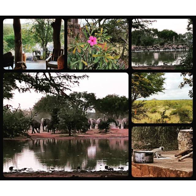 Robyn's photos of our Tsavene house