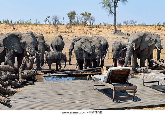 zimbabwe-matabeleland-north-province-hwange-national-park-somalisa-fm7f5b.jpg