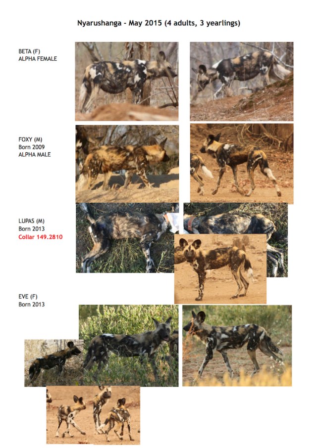 Nyarushanga ID 2015 page 1 lo res