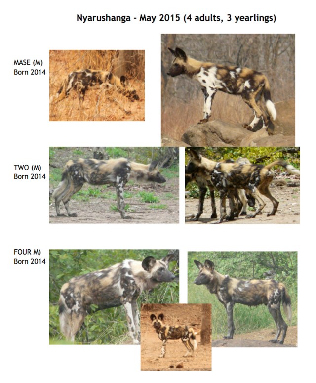 Nyarushanga ID 2015 page 2 lo res