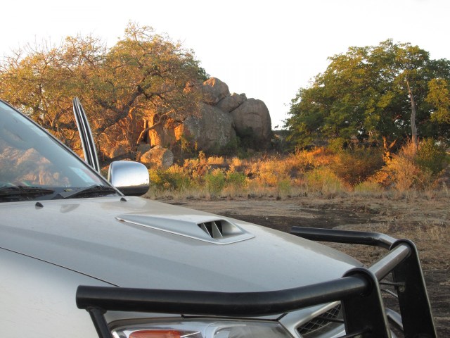 the Sunset Rock, a dog descends... lo resjpg.jpg