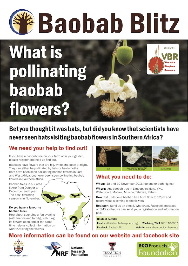 baobab blitz.jpg