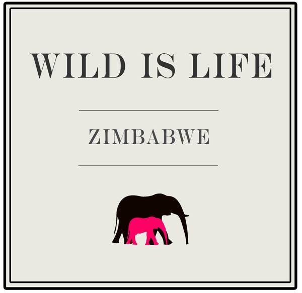 wild is life logo.jpg